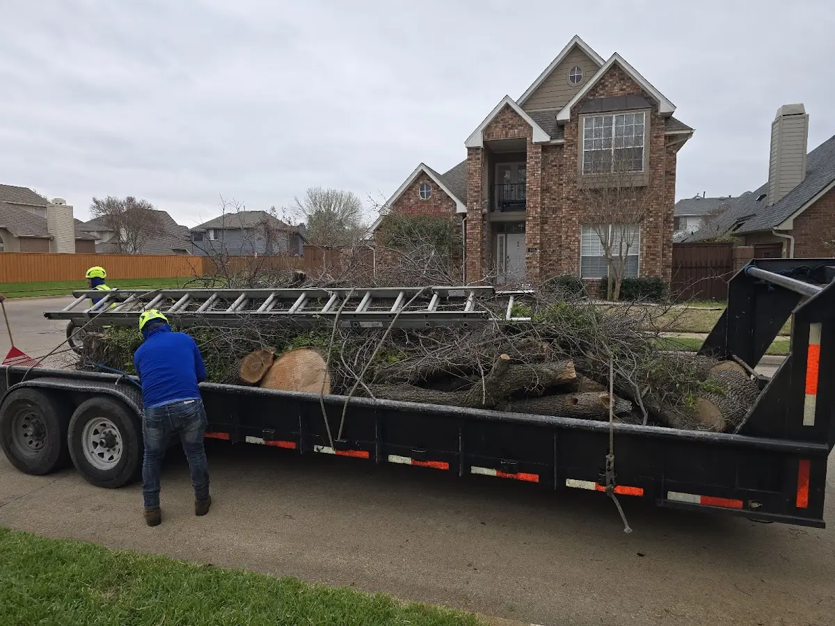 Expert Tree Fertilization with proper safety equipment in Rock Stream